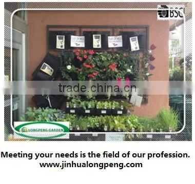 6-pocket Vertical Garden,Living Wall Planters,Living Wall Pots photo-2