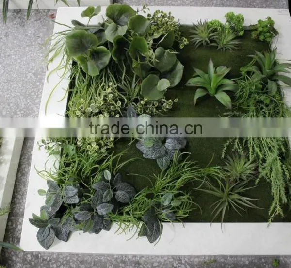Home Green Wall Cheaper House Use (110X50cm) Vertical Vertical Green Wall photo-2