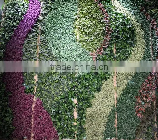 Artificial Grass Wall China Factory (5X5.5m) Pattern Plant Wall