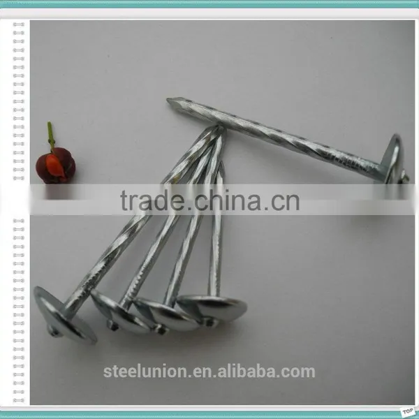 Galvanzied Roofing Nails /umbrella Head Roofing Nails photo-4