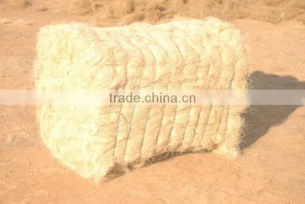 Coconut Fiber photo-2