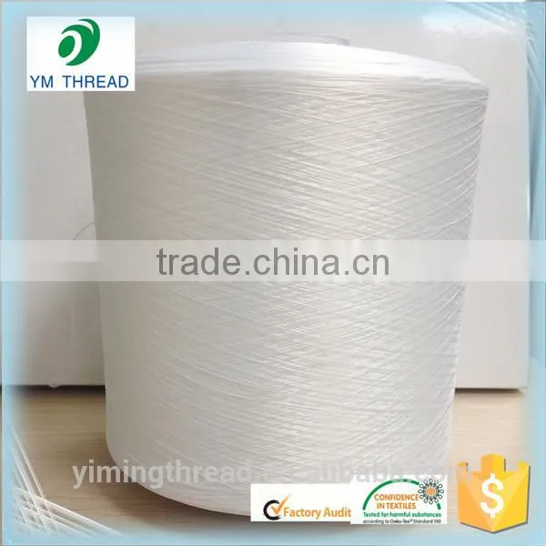 China Supplier 150d 300d Raw White Soft Wind Polyester Yarn photo-2