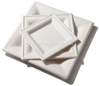 10 Inch Wholeasale Price Eco Friendly Biodegradable Sugarcane Bagasse Square Plate China Supplier photo-3