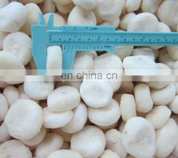 Sinocharm Health and Hygiene, no Insects and no Foreign MatterFrozen Peeled Fresh IQF Water Chestnut photo-5