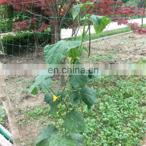 Vegetable Plastic Climbing Netting Vegetable Plants Support Net for Garden photo-4