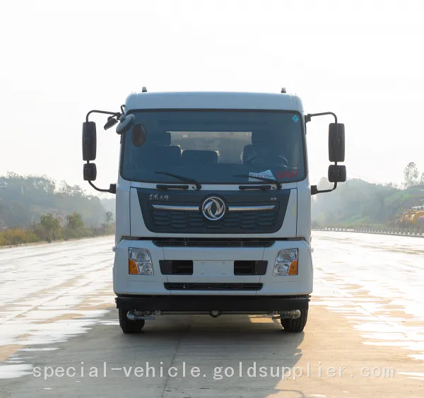 Tianjin 6X4 Chassis Multi-Functional Greening Weather-Resistant Water Distribution Vehicle/Water Sprinkler Truck photo-4