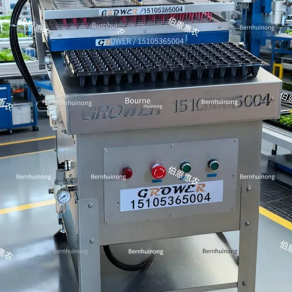 supply of gw-1600 sweet corn seedling raising and sowing machine, whole tray type seed dropping machine, plug seeder