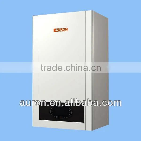 Hot Sale/new Design Gas Boiler