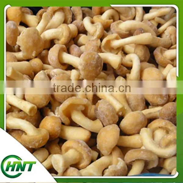 High Quality Nameko Mushroom