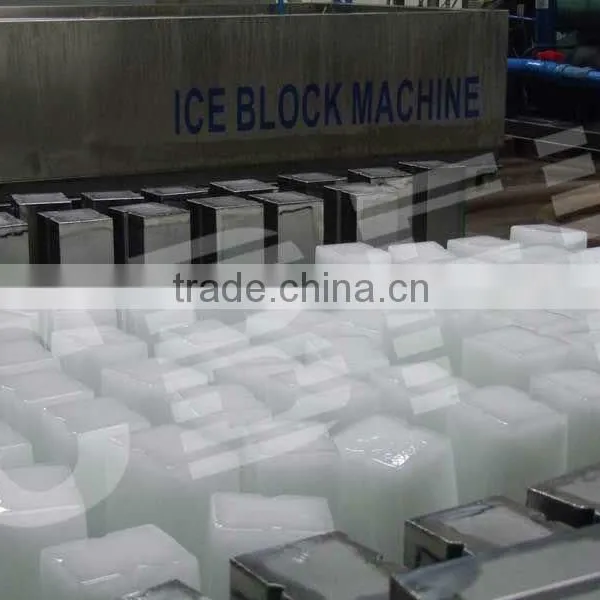 1 Ton Block Ice Machines for Nigeria Customer photo-2