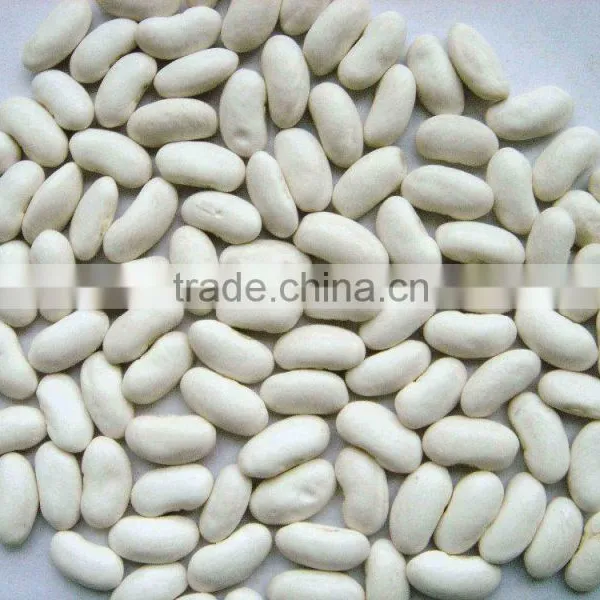 We Are Supply Kidney Beans, Medium White Kidney Beans With Competitive Price Quality Choice photo-4