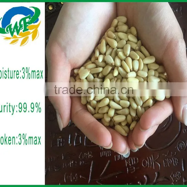 2015 Top Quality Pine Nut Kernels for Sales photo-4