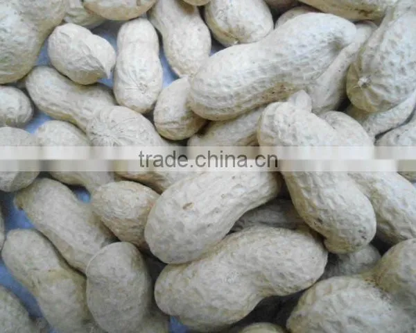 China Bulk Raw Peanuts for Sale