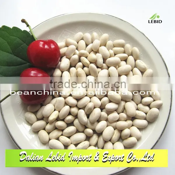 New Crop Small Beans Japanese Type White Kidney Beans