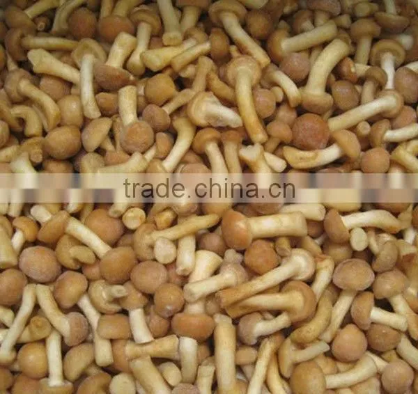 Fresh Frozen Pholiota Nameko photo-4