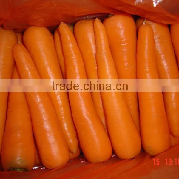 Fresh Carrot