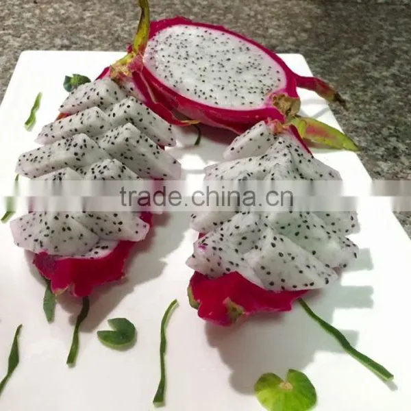 FRESH PITAYA