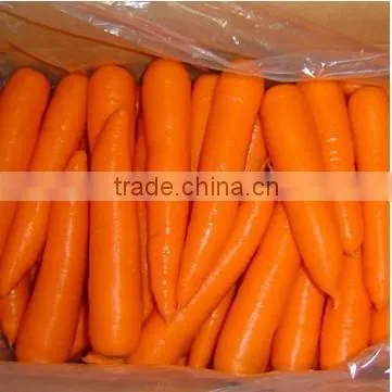 Fresh Carrot