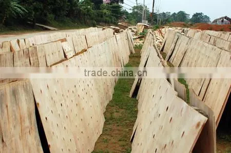 TOP QUALITY SHORT CORE VENEER CHEAP VENEER FOR IMPORTERS photo-2