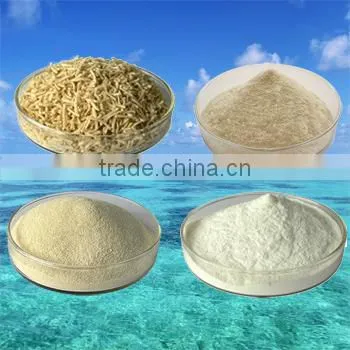 High Quality Sodium Alginate photo-2