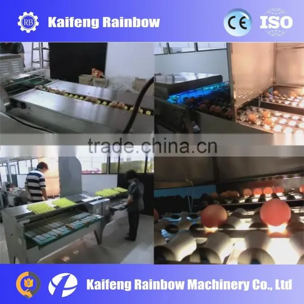 RB Brand Wet Washing Chicken Duck Goose Egg Washing Processing Machine photo-6