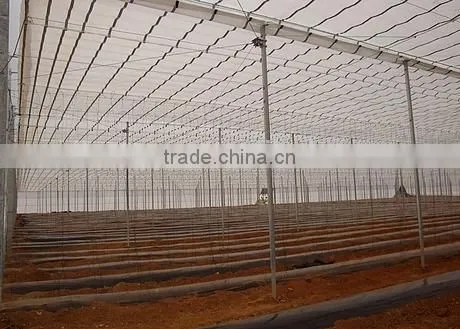 Commercial Greenhouses China photo-6