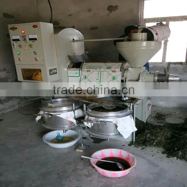 CE Approved Small Oil Factory Soybean Extruder Press Oil Machine photo-4