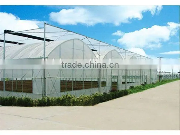 Chengdu BaoLiDa Low Price 20 Micron Polythene Greenhouse pe Film Greenhouse photo-3