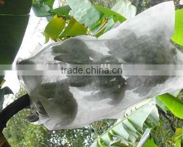 Polypropylene Non-woven Fleece Fabric for Agriculture photo-3
