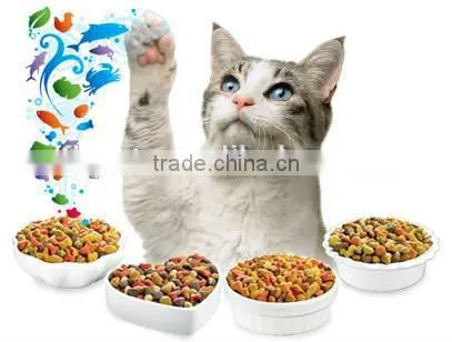 Dry Cat Food Kitten Chicken & Whole Brown Rice Formula photo-2