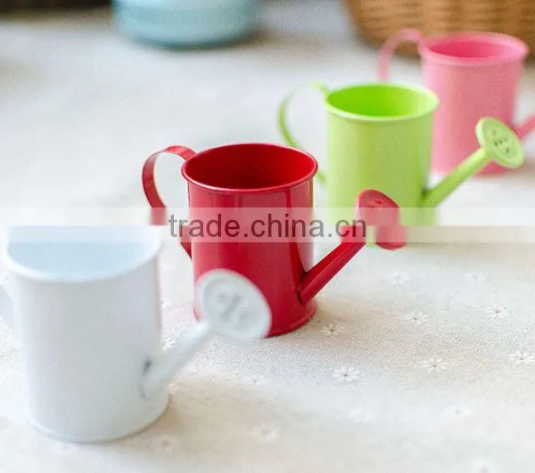 Cheap Small Indoor 2 or 2.5 Inches White Metal Flower Watering Can Mini Planter for Succulents photo-3