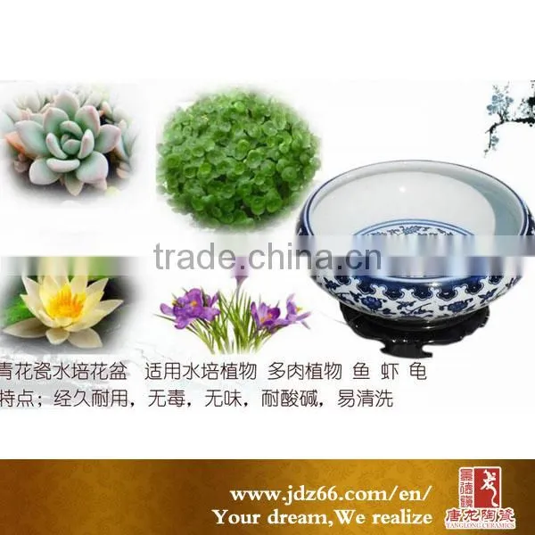 Lotus Bonsai Pots Wholesale photo-2