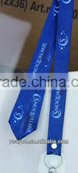 Lanyard