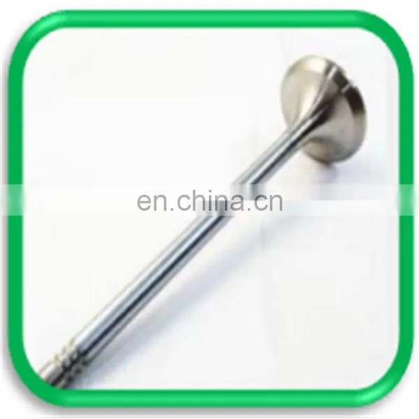 Truck Spare Parts Intake and Exhaust Engine Valve for Daf xf 105 95 106 photo-5