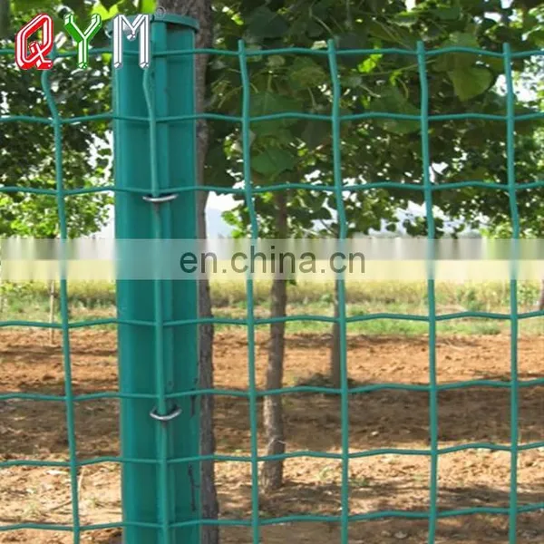 Euro Steel Fence Panel Holland Wire Mesh Euro Steel Fence photo-3
