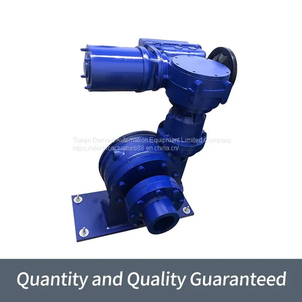 Bernard Multi-turn Electric Actuators SKD800 / FYT Intelligent Gate Device photo-2