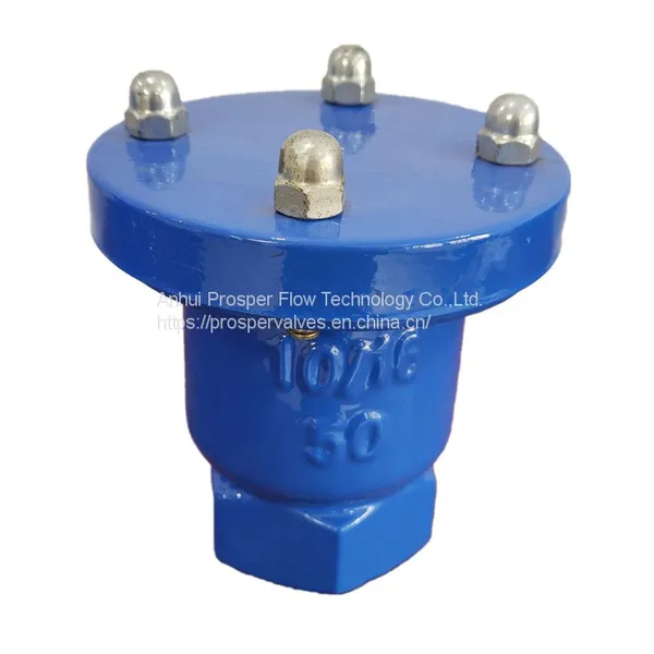 Water Valves Price Ductile Iron Threaded Gate Valve PN10 PN16