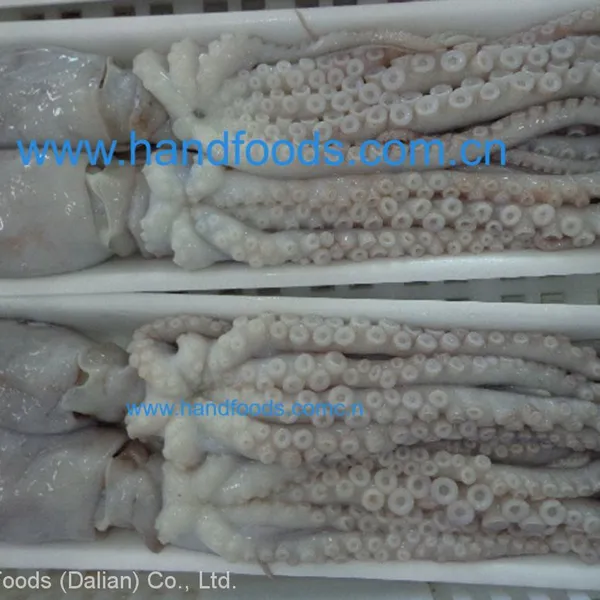 Frozen Whiparm Octopus