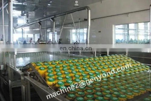 ISO Best Fruit Preserves Factory photo-4