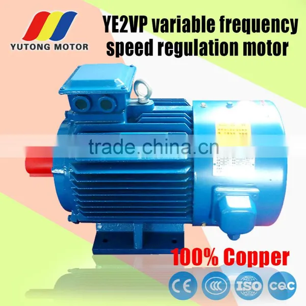 0.75kw YVP series frequency variable motor