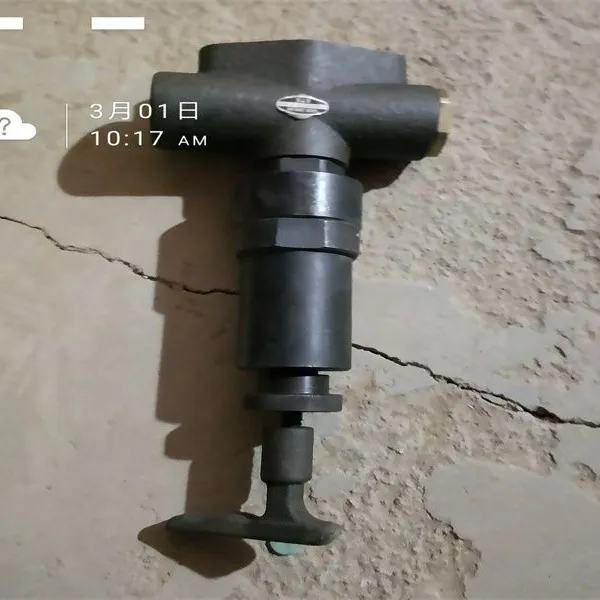 Injector Assembly Z12VB.16.00E Chidong PZ12V190 G12V190PZL