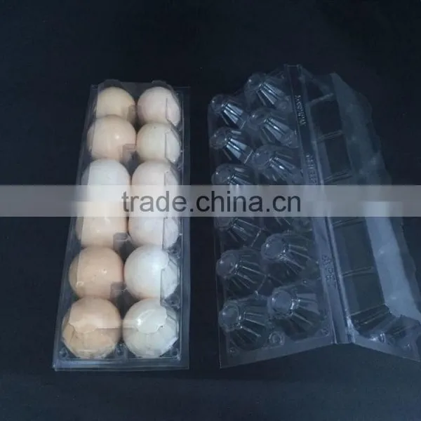 Blister Forming Machine for PVC Blister Tray Packing photo-3