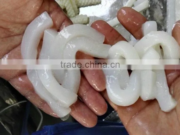 IQF Frozen Squid Strips photo-3