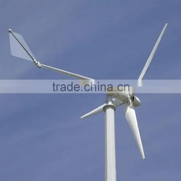 Home Wind Turbine 1kw 2kw 3kw 5kw Wind Generator 24v off Grid System, Aerogenerador 1kw 2kw 3kw Quality Choice