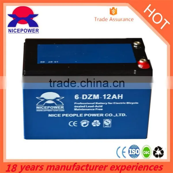 E-bike Battery 12v12ah Vrla Battery