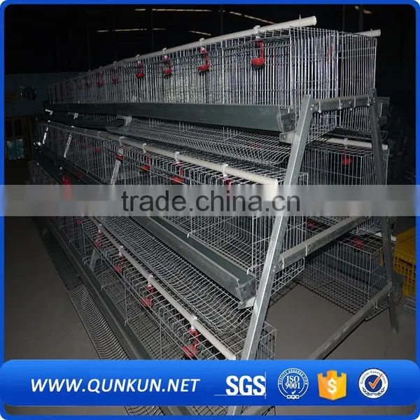 Egg Production Project Poultry Farming Equipment A Type Design Layer Chicken Cage for Sale photo-2