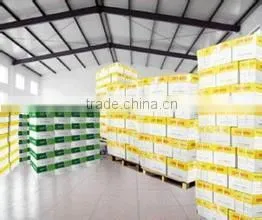Office Paper A3/A4 Size Photocopy Sheeter/Paper Cutting Machine/automatic-paper Roll to Sheet