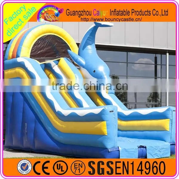 Blue Whale Inflatable Water Slide photo-5