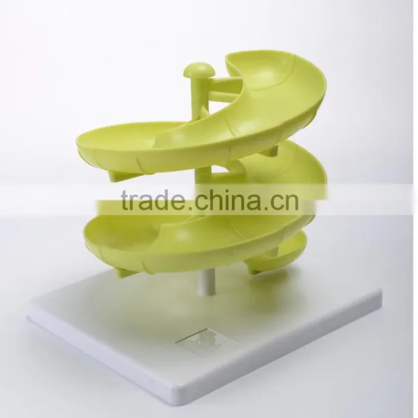 2016 New Design Plastic Egg Run Holder Egg Storage Rack,egg Holder, Egg Rack photo-5