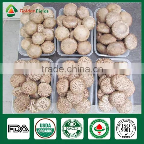 Shiitake Growing Kit,Shiitake Mushroom Spawn,Growing Shitake photo-6